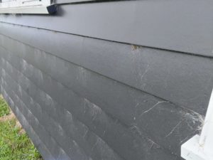 A Woosh Exterior Cleaning House Wash in New Plymouth, Taranaki