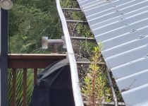 Heavy Full Gutters Causing Drainage Issues