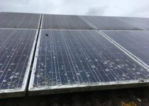 Solar Panels with Organic Growth