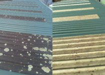 Fibreglass Roofing, Treatment & Wash