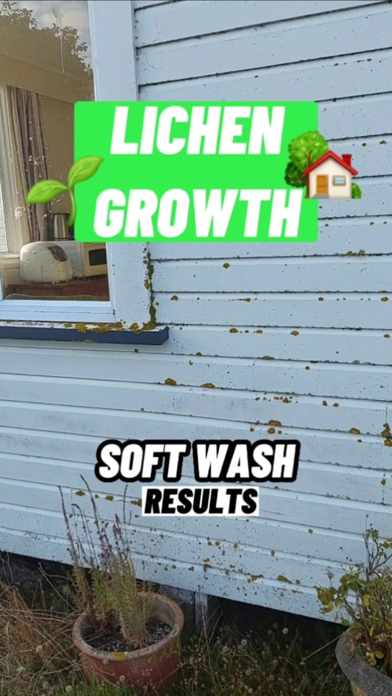 Softwash Results on a wall with lichen growth