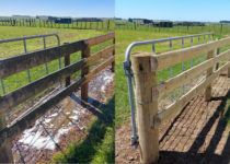 Rail Fencing Cleaned and Restored
