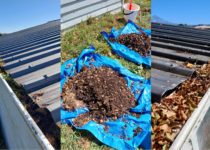 Buckets of Leaves, Sticks, and Debris Removed From Gutters