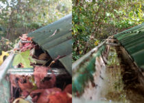Gutters Full of Leaves, Sticks, and Debris