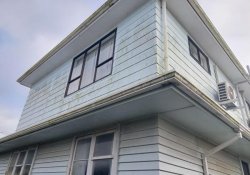 Before a professional Woosh house wash