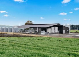 Rural shed and building cleans