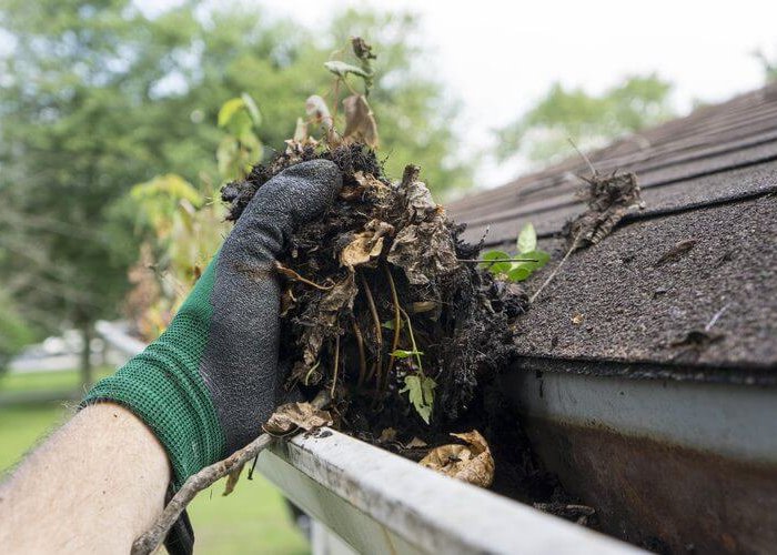 Gutter Clearing